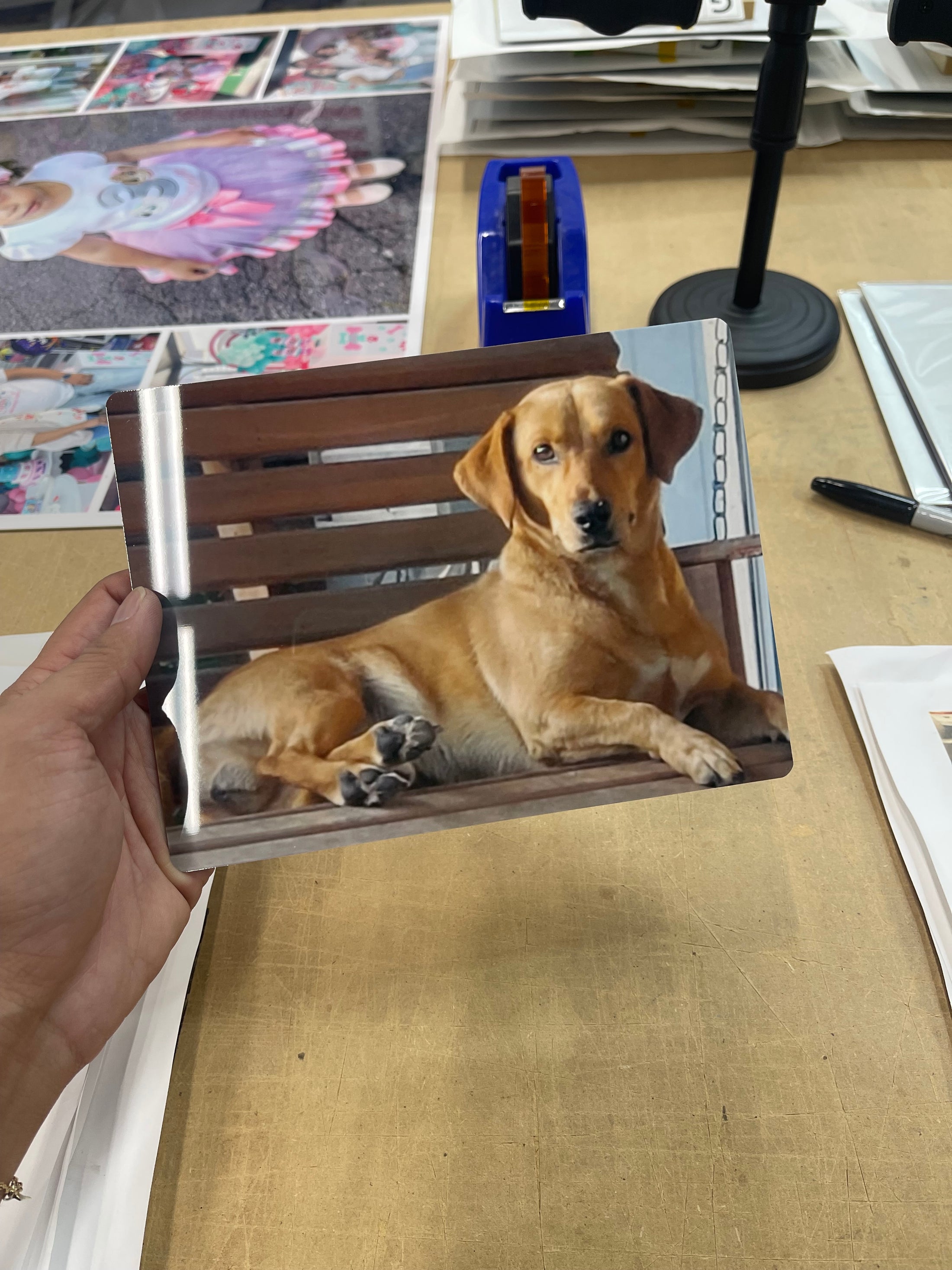 Custom Dog Portrait on Metal – Vibrant, Glossy, Built to Last