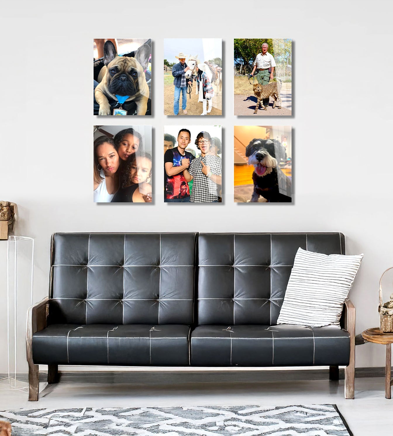 Super Six Collection 6-Pack (12"by18"inch)