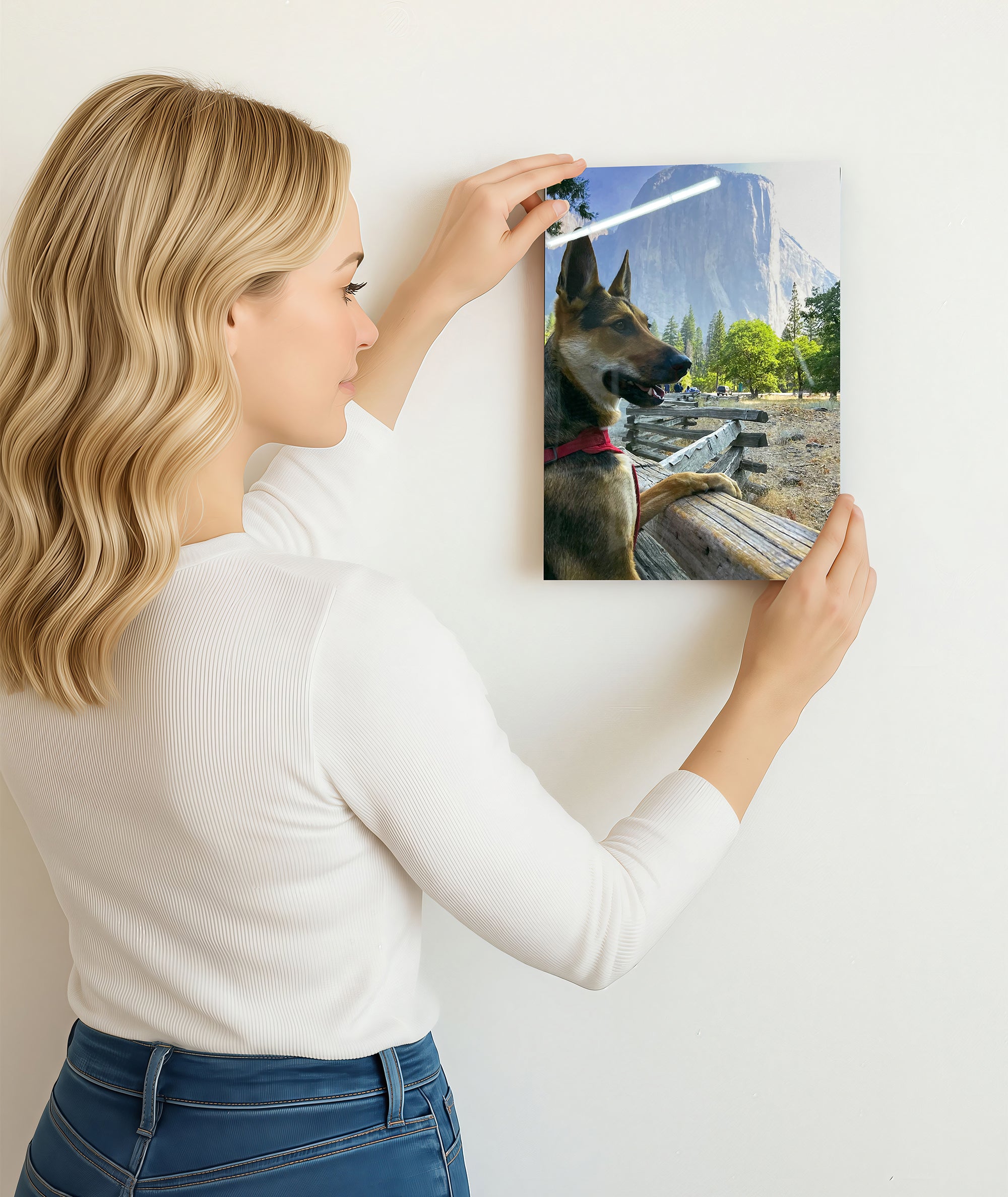 Custom Dog Portrait on Metal – Vibrant, Glossy, Built to Last